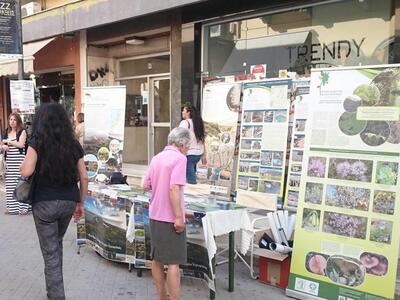 Αχαΐα: Κοτύχι, Στροφυλιά, Χελμός, Βουραϊ...