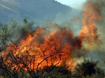 Αχαΐα - Ηλεία: Πολύ υψηλός κίνδυνος πυρκ...