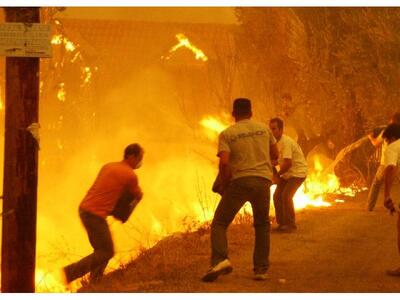 Ηλεία: Ο Παπακωνσταντίνου απαντά για το ...