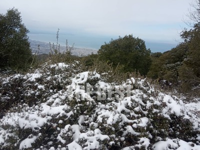 Πάτρα: Χιονισμένο τοπίο στο Παναχαϊκό! Σ...