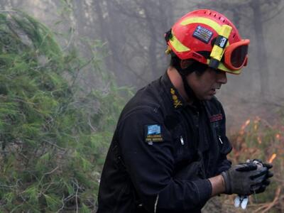 Ο πυροσβέστης που έσωσε μικρό πουλί από ...