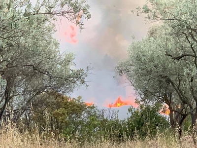 Αιτωλοακαρνανία: Μεγάλη πυρκαγιά στην Αβ...