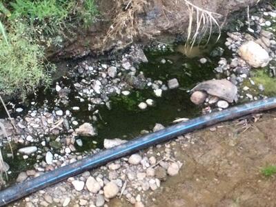 Αλισσός: Ανοιχτή επιστολή προς τους βουλ...