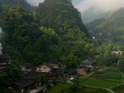Κίνα: Εκοψε τα αυτιά του ανιψιού της μετ...