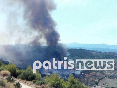 Λαντζόι Ηλείας: Πυρκαγιά σε λιοστάσι