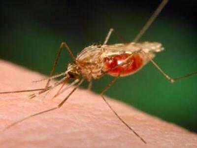 Στο "κόκκινο" Αχαϊα και Ηλεία ...