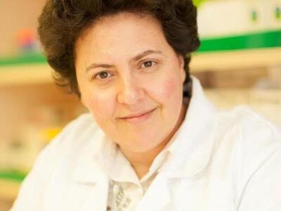 Αθηνά Τραχήλη: Άλλο ένα πλήγμα κατά των ...