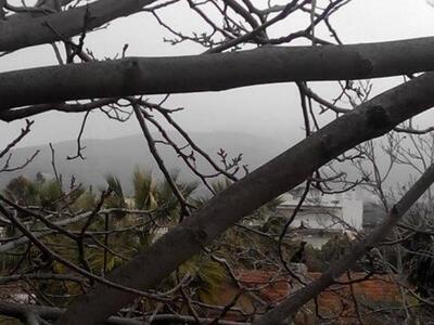 Λίγους βαθμούς πάνω από το μηδέν η θερμο...