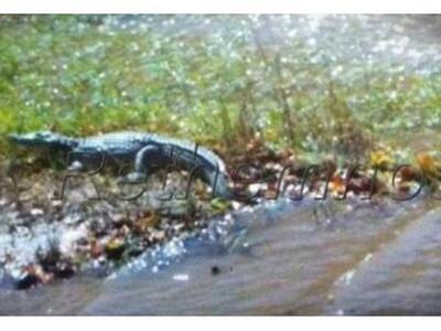 Σύσκεψη στο Ηράκλειο για την αιχμαλωσία ...