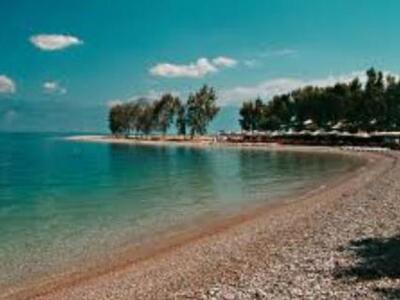 Νίκος Τσούκαλης: Αναφορά στη Βουλή για π...