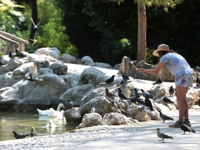 Καιρός: Καλοκαιρινός με «διαλείμματα» κα...