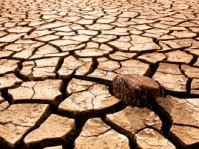 Παγκόσμια Ημέρα κατά της Ερημοποίησης κα...