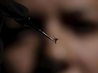 Περιφέρεια Δυτικής Ελλάδας:Τι πρέπει να ...