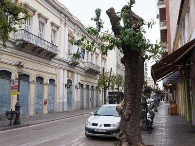 Πάτρα:"Ξεγυμνώθηκαν" τα δένδρα...