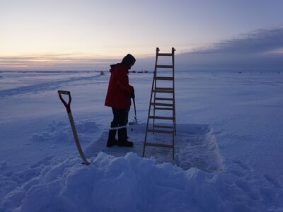 Από την Ύδρα στην Αρκτική: Ο Μιχάλης Τσα...