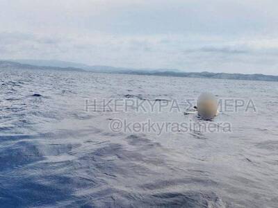 Γέμισε το Ιόνιο νεκρές αγελάδες – Έντοπί...