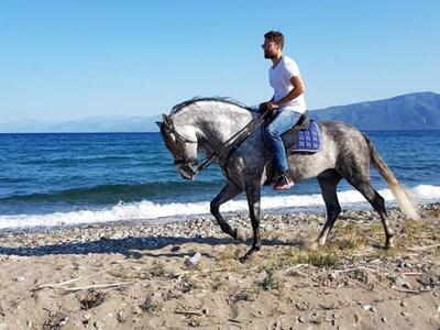 Καβαλάρης στη Ναύπακτο ο Κωνσταντίνος Αρ...
