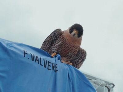 Μυθικό! Το συγκλονιστικό βίντεο της Ουρο...