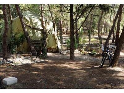 Παράγκα... τρόμου μέσα στην Πανεπιστημιούπολη