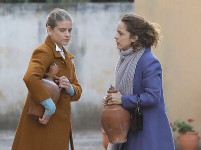 Άγριες μέλισσες: Αποκαλύπτεται το μυστικ...