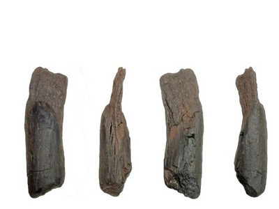 Στη φωτογραφία ID 13 απεικονίζεται μικρό...