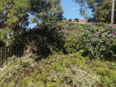 Θεσσαλονίκη: Φθορές σε αυτοκίνητα από πτ...