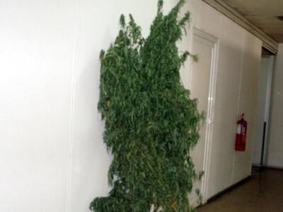 Σύλληψη 38χρονης στο Αιτωλικό για ναρκωτ...