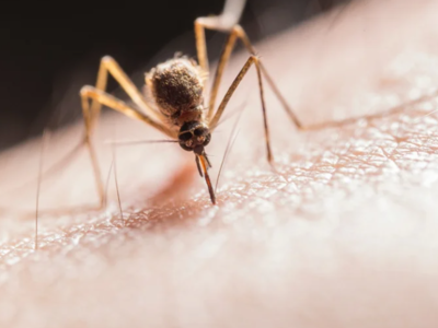 Ιός Δυτικού Νείλου: Συνολικά 123 κρούσμα...