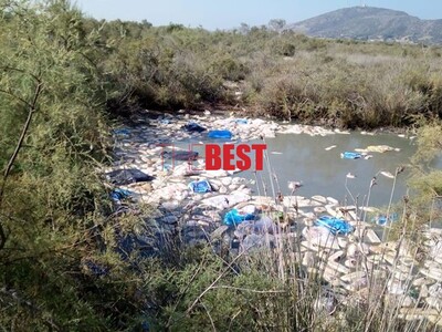 Πέταξαν ληγμένα ψωμιά μέσα σε νάιλον συσ...