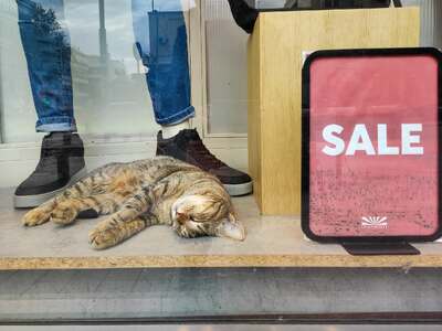 Αναδουλειές στις εκπτώσεις