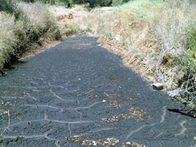 Ολοκληρώθηκε η ημερίδα στο Επιμελητήριο ...