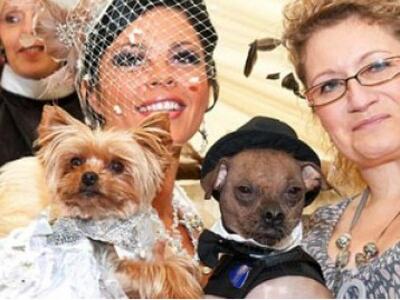 Έδωσε 20.000 ευρώ για τον γάμο του σκύλου της!!!