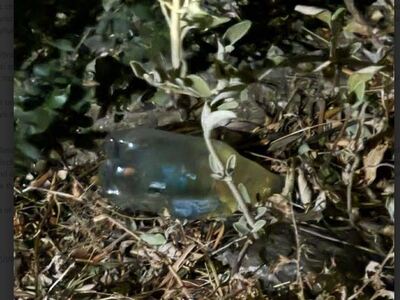 Πως έκαψαν την Πάτρα οι δυο νεαροί - Υλι...