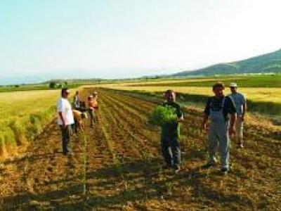 Πρόγραμμα 100 εκατ. ευρώ για νέους αγρότες 