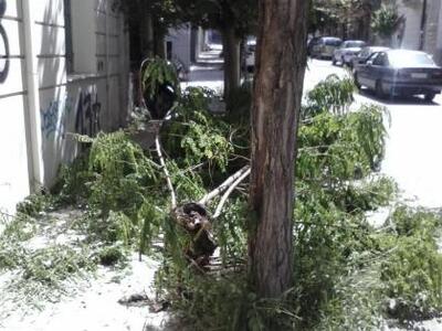 Πάτρα: Δέντρο σωριάστηκε με θόρυβο πάνω ...
