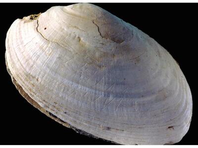 Αυτό είναι το αρχαιότερο έργο αφηρημένης...