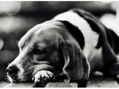 Αναζητειται ο άγνωστος που δηλητηρίασε σ...