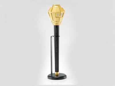 Η Δάδα των Special Olympics 2011 απο τον...