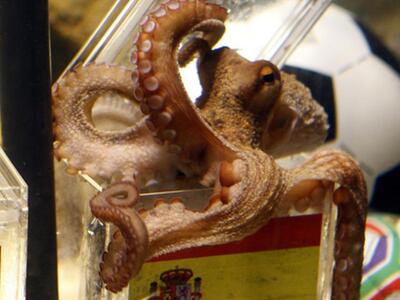 Οι διοργανωτές του Euro 2012 βρήκαν τον ...