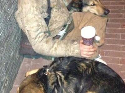 Έβαζαν τα παιδιά να ζητιανεύουν με ναρκωμένα ζώα!