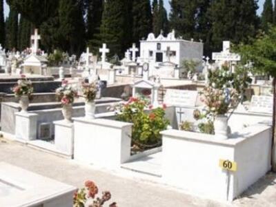 Πάτρα: Ξέφραγο αμπέλι το 1ο Δημοτικό Κοι...