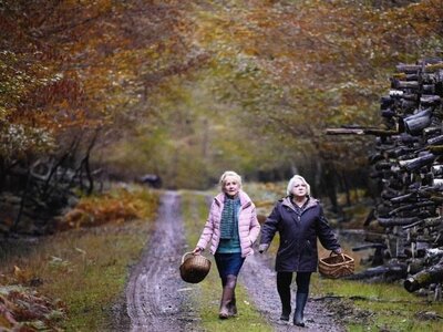 Κινηματογραφική Λέσχη Πάτρας: "Όταν...