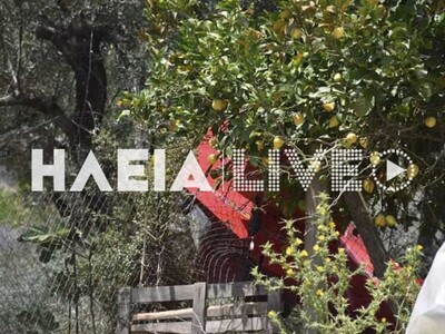 φωτογραφία ilialive.gr