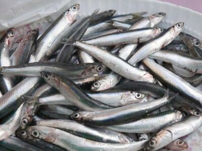Ψάρια: Οι καταναλωτές αναζητούν προσφορέ...