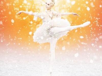 Πάτρα: Κοντά στους 900 θεατές παρακολούθ...