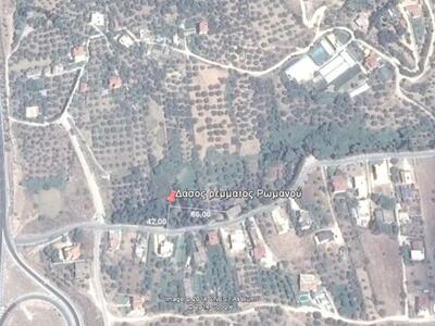 Παράνομο κυνήγι στην περιοχή Ρωμανού στη...