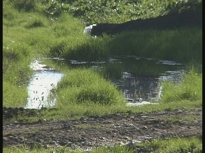 Λυματολάσπη "καλής ποιότητας"