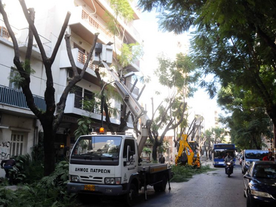 Πάτρα: Από σήμερα ξεκινά το κλάδεμα των ...