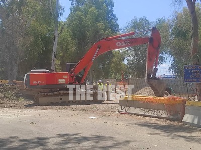 Πάτρα: Ξεριζώθηκαν ευκάλυπτοι στην Ακτή ...