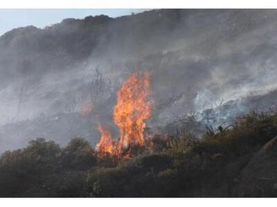 Σε εξέλιξη φωτιά κοντά στην Πύλο 
